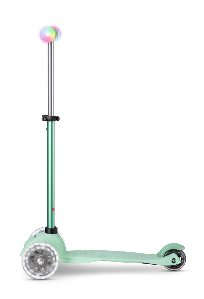 Mini2Grow Menta