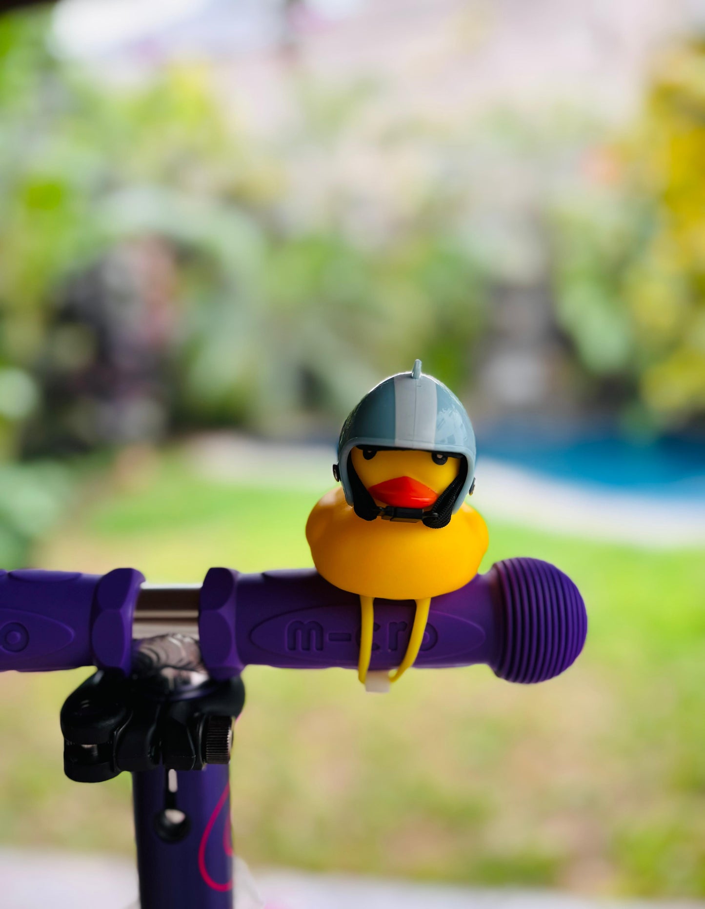 Duckster Lolo